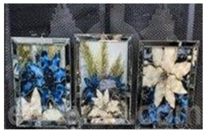 Flower MAVI Set
